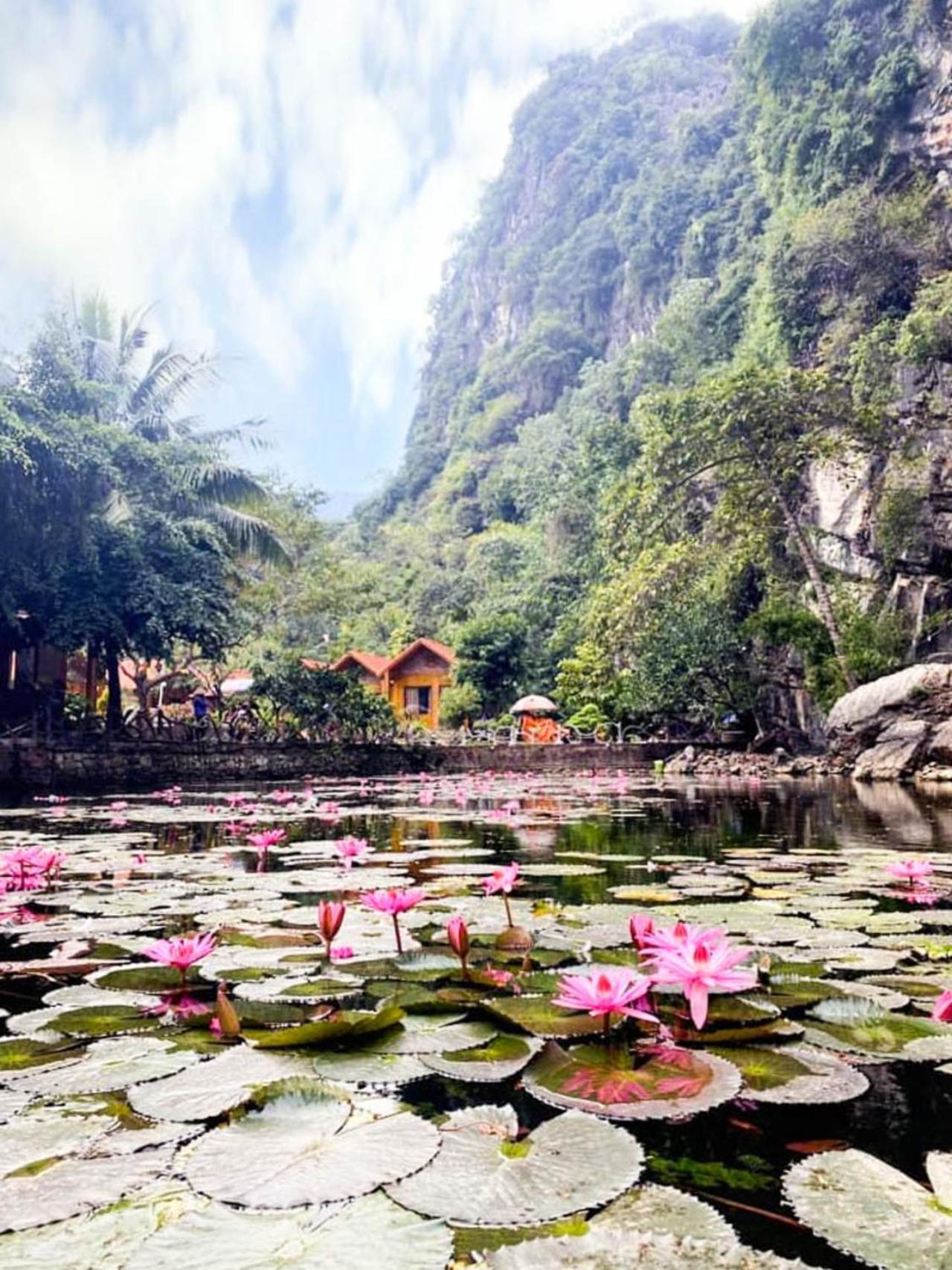 Tam Coc Rocky Bungalow Ninh Bình Kültér fotó
